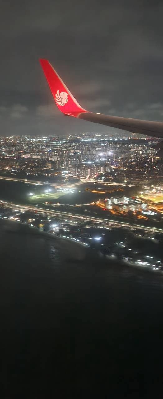 A red Lion Air wing over a city at night, seen from the window on the way into Singapore. Perfect valentine.